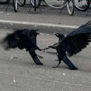 ヒメ日記 2026/01/18 19:12 投稿 あさひ SOAPLAND LOVE FACTORY