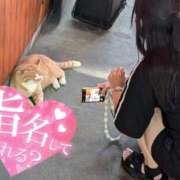 ヒメ日記 2026/01/18 19:27 投稿 あさひ SOAPLAND LOVE FACTORY