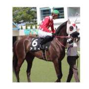 ヒメ日記 2026/01/20 04:12 投稿 あさひ SOAPLAND LOVE FACTORY