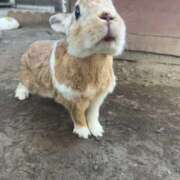 ヒメ日記 2026/01/20 05:40 投稿 あさひ SOAPLAND LOVE FACTORY