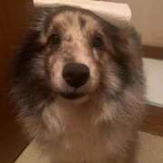 ヒメ日記 2026/01/21 03:52 投稿 あさひ SOAPLAND LOVE FACTORY