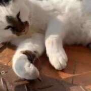 ヒメ日記 2026/01/21 06:22 投稿 あさひ SOAPLAND LOVE FACTORY