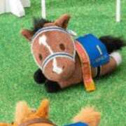 ヒメ日記 2026/01/25 15:22 投稿 あさひ SOAPLAND LOVE FACTORY