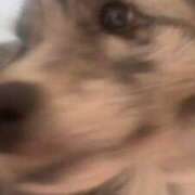 ヒメ日記 2026/01/26 00:42 投稿 あさひ SOAPLAND LOVE FACTORY