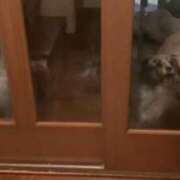 ヒメ日記 2026/01/26 13:16 投稿 あさひ SOAPLAND LOVE FACTORY