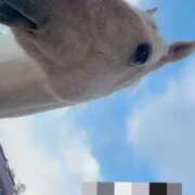 ヒメ日記 2026/01/26 21:12 投稿 あさひ SOAPLAND LOVE FACTORY