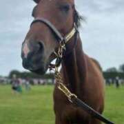 ヒメ日記 2026/01/27 11:24 投稿 あさひ SOAPLAND LOVE FACTORY