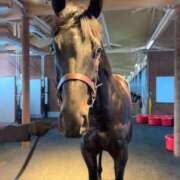 ヒメ日記 2026/01/27 16:32 投稿 あさひ SOAPLAND LOVE FACTORY