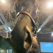 ヒメ日記 2026/01/27 20:15 投稿 あさひ SOAPLAND LOVE FACTORY