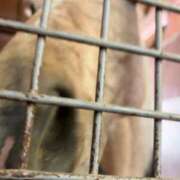 ヒメ日記 2026/01/28 00:42 投稿 あさひ SOAPLAND LOVE FACTORY