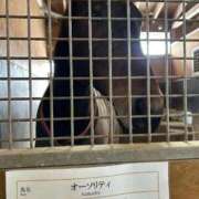 ヒメ日記 2026/01/28 07:42 投稿 あさひ SOAPLAND LOVE FACTORY