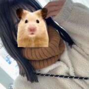 ヒメ日記 2026/01/28 14:12 投稿 あさひ SOAPLAND LOVE FACTORY