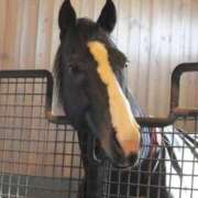 ヒメ日記 2026/01/28 17:02 投稿 あさひ SOAPLAND LOVE FACTORY