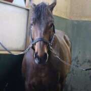 ヒメ日記 2026/01/28 17:35 投稿 あさひ SOAPLAND LOVE FACTORY