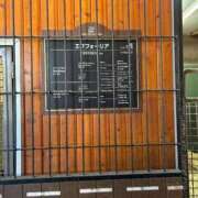 ヒメ日記 2026/01/29 12:18 投稿 あさひ SOAPLAND LOVE FACTORY