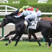 ヒメ日記 2026/01/29 18:10 投稿 あさひ SOAPLAND LOVE FACTORY