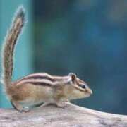 ヒメ日記 2026/01/29 18:42 投稿 あさひ SOAPLAND LOVE FACTORY