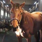 ヒメ日記 2026/01/30 01:32 投稿 あさひ SOAPLAND LOVE FACTORY