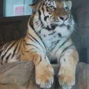 ヒメ日記 2026/01/30 23:42 投稿 あさひ SOAPLAND LOVE FACTORY