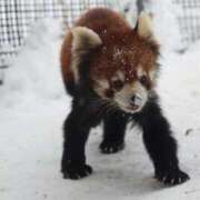 ヒメ日記 2026/01/30 23:46 投稿 あさひ SOAPLAND LOVE FACTORY