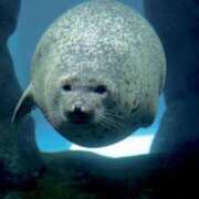 ヒメ日記 2026/01/31 02:42 投稿 あさひ SOAPLAND LOVE FACTORY