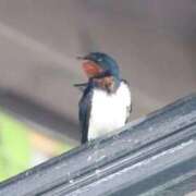 ヒメ日記 2026/02/02 06:32 投稿 あさひ SOAPLAND LOVE FACTORY