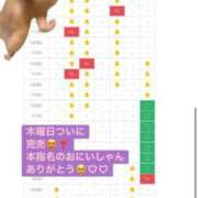 ヒメ日記 2026/02/03 08:52 投稿 あさひ SOAPLAND LOVE FACTORY