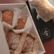 ヒメ日記 2026/02/05 06:02 投稿 あさひ SOAPLAND LOVE FACTORY