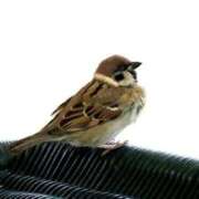 ヒメ日記 2026/02/05 18:08 投稿 あさひ SOAPLAND LOVE FACTORY