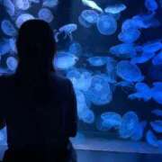 ヒメ日記 2026/02/05 18:26 投稿 あさひ SOAPLAND LOVE FACTORY