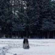 ヒメ日記 2026/02/06 00:32 投稿 あさひ SOAPLAND LOVE FACTORY