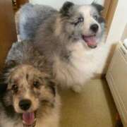 ヒメ日記 2026/02/06 01:12 投稿 あさひ SOAPLAND LOVE FACTORY