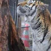 ヒメ日記 2026/02/07 07:49 投稿 あさひ SOAPLAND LOVE FACTORY