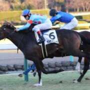 ヒメ日記 2026/02/08 14:41 投稿 あさひ SOAPLAND LOVE FACTORY