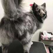 ヒメ日記 2026/02/09 04:22 投稿 あさひ SOAPLAND LOVE FACTORY