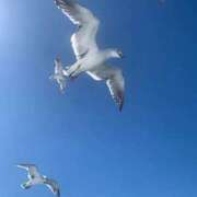 ヒメ日記 2026/02/10 03:47 投稿 あさひ SOAPLAND LOVE FACTORY