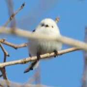 ヒメ日記 2026/02/10 11:41 投稿 あさひ SOAPLAND LOVE FACTORY