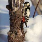 ヒメ日記 2026/02/10 11:52 投稿 あさひ SOAPLAND LOVE FACTORY