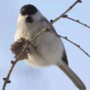 ヒメ日記 2026/02/10 12:02 投稿 あさひ SOAPLAND LOVE FACTORY