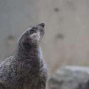 ヒメ日記 2026/02/11 16:52 投稿 あさひ SOAPLAND LOVE FACTORY