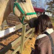 ヒメ日記 2026/02/12 01:58 投稿 あさひ SOAPLAND LOVE FACTORY