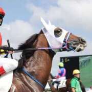 ヒメ日記 2026/02/12 12:22 投稿 あさひ SOAPLAND LOVE FACTORY