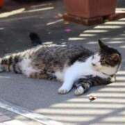 ヒメ日記 2026/02/12 16:43 投稿 あさひ SOAPLAND LOVE FACTORY