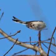 ヒメ日記 2026/02/12 18:37 投稿 あさひ SOAPLAND LOVE FACTORY