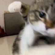 ヒメ日記 2026/02/13 03:31 投稿 あさひ SOAPLAND LOVE FACTORY