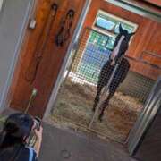 ヒメ日記 2026/02/13 04:59 投稿 あさひ SOAPLAND LOVE FACTORY