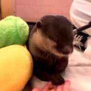 ヒメ日記 2026/02/13 14:32 投稿 あさひ SOAPLAND LOVE FACTORY