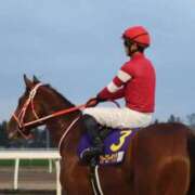 ヒメ日記 2026/02/15 03:07 投稿 あさひ SOAPLAND LOVE FACTORY