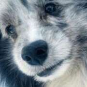 ヒメ日記 2026/02/15 04:12 投稿 あさひ SOAPLAND LOVE FACTORY