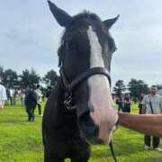 ヒメ日記 2026/02/15 21:13 投稿 あさひ SOAPLAND LOVE FACTORY